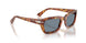 106/56 - Tortoise - Light Blue