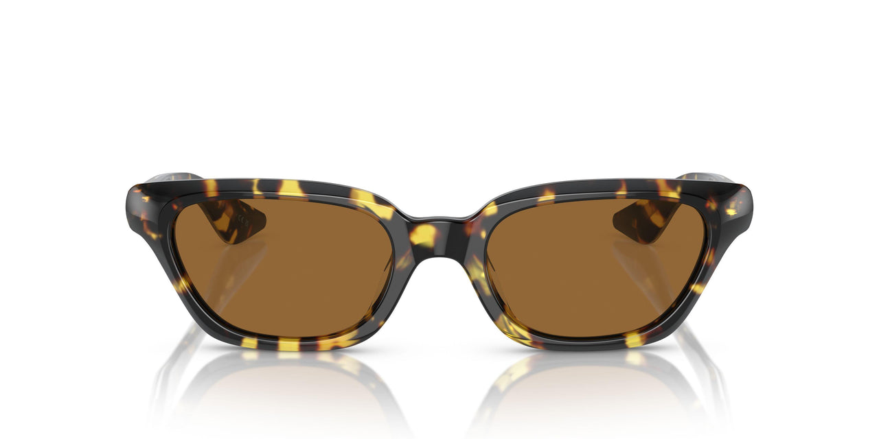 165457 - Tortoise - True Brown