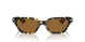 165457 - Tortoise - True Brown