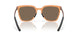 948004 - Brown - Prizm Rose Gold Polarized