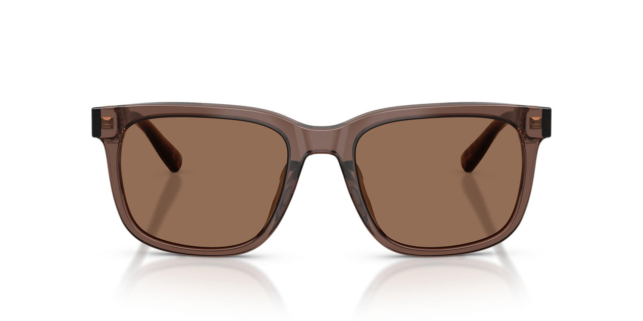 617673 - Brown - Brown