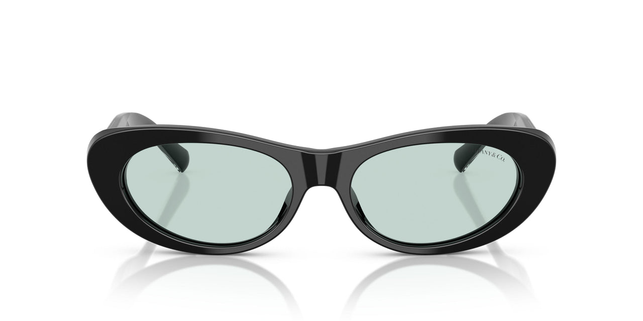 8001D9 - Black - Light Azure