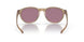 912605 - Brown - Prizm Jade Polarized