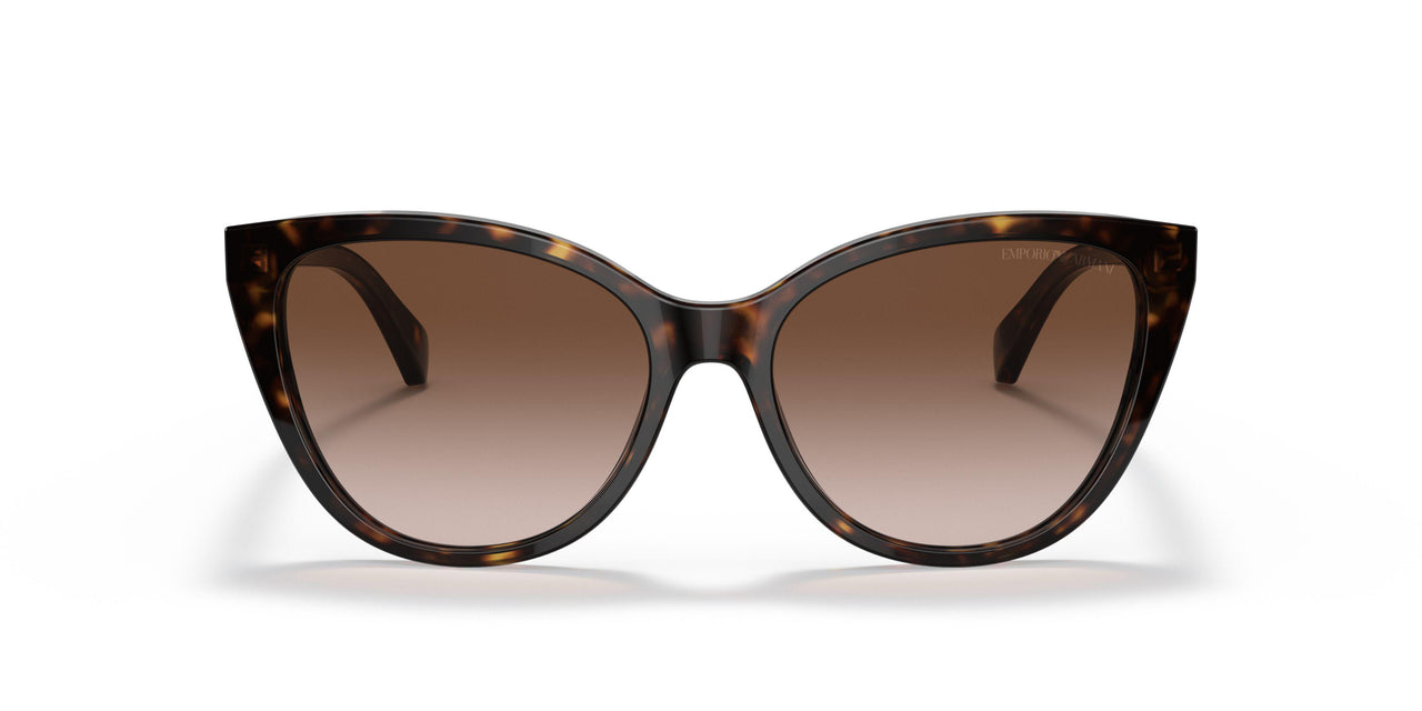 587913 - Havana - Gradient Brown