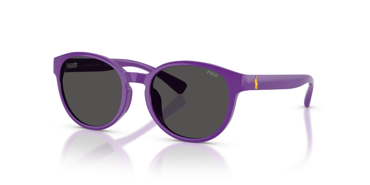 632787 - Violet - Dark Grey