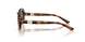 502/73 - Tortoise - Dark Brown