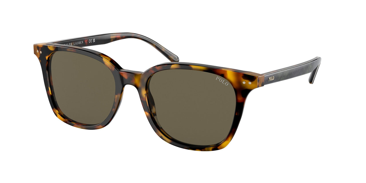 Polo 4187F Sunglasses