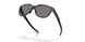 925010 - Blue - Prizm Grey Polarized
