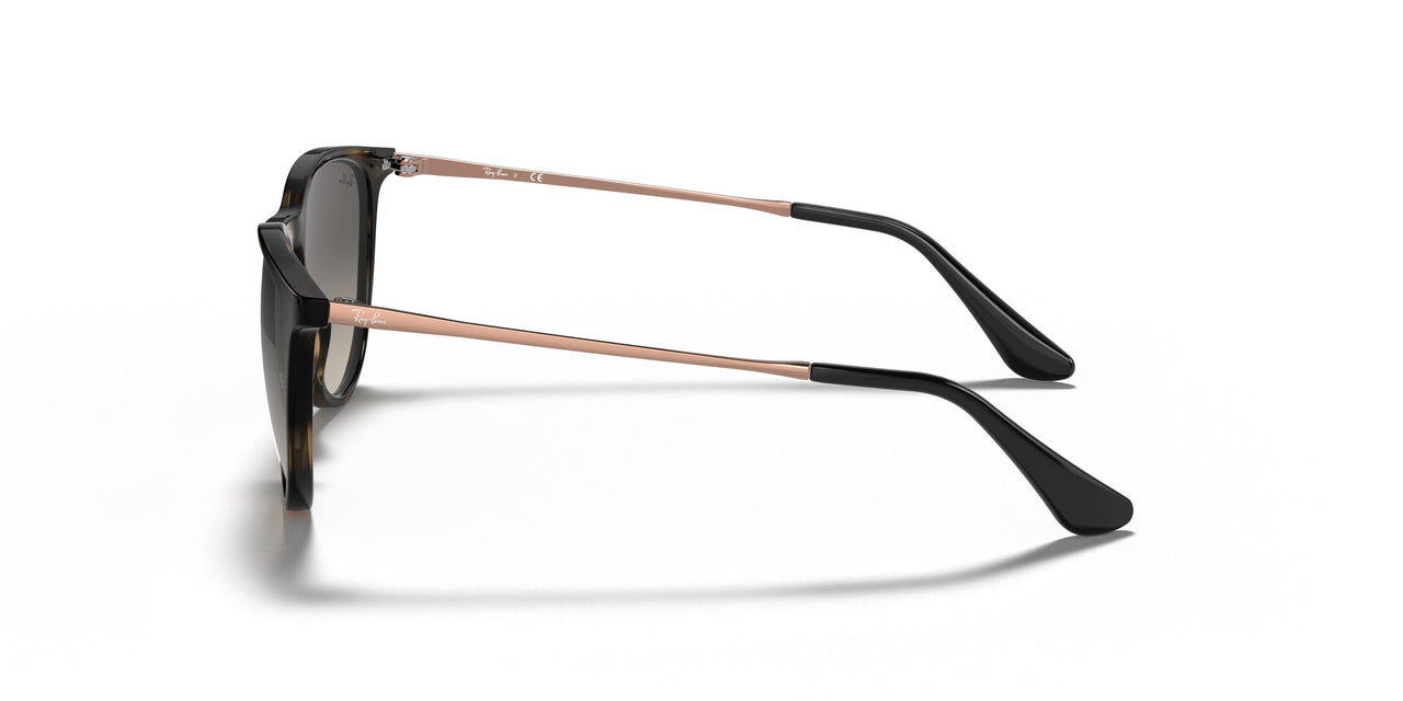 704911 - Havana - Grey Gradient Dark Grey