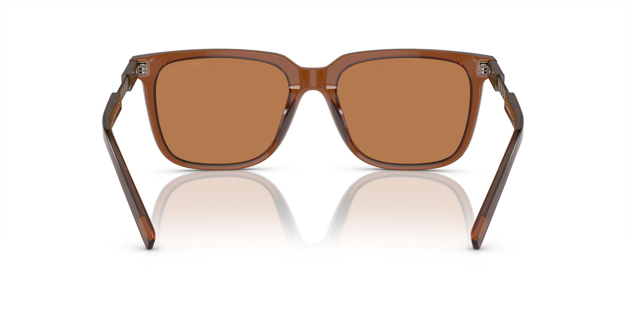 604973 - Brown - Brown