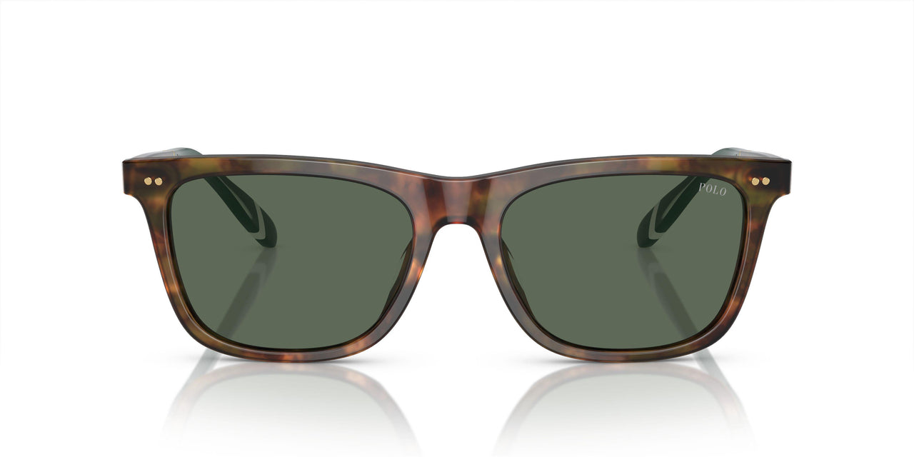 501771 - Tortoise - Bottle Green
