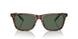 501771 - Tortoise - Bottle Green