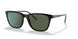 27539A - Black - Dark Green Polar