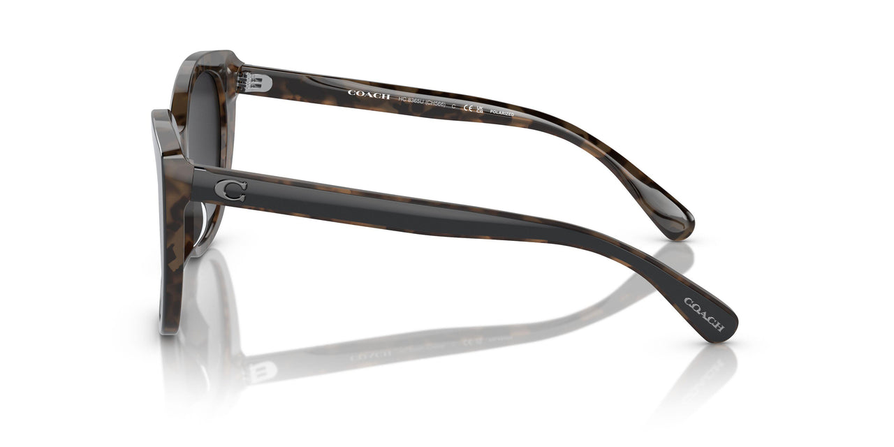 5764T3 - Black - Grey Gradient Polar