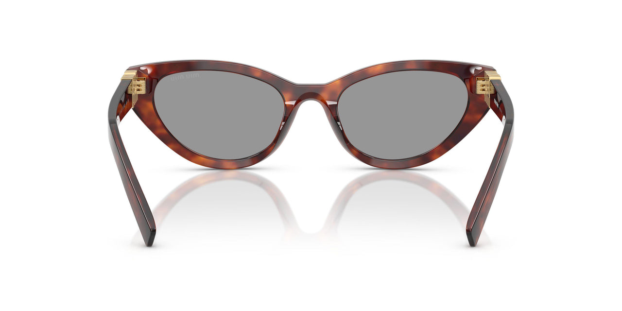 21C40O - Tortoise - Grey