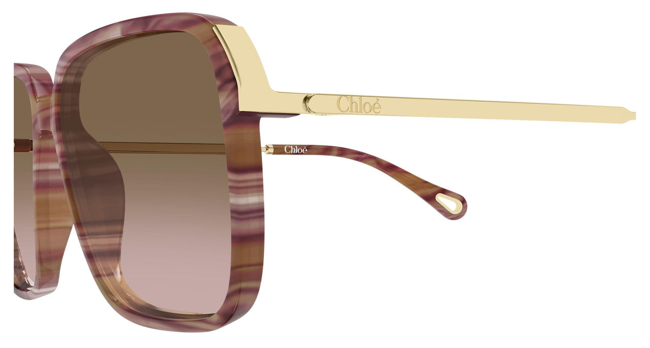 002 - Havana/Gold - Brown