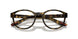 5811O1 - Tortoise