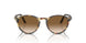 900551 - Tortoise - Brown Gradient