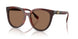 201173 - Tortoise - Dark Brown