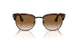 112751 - Havana - Clear Gradient Brown