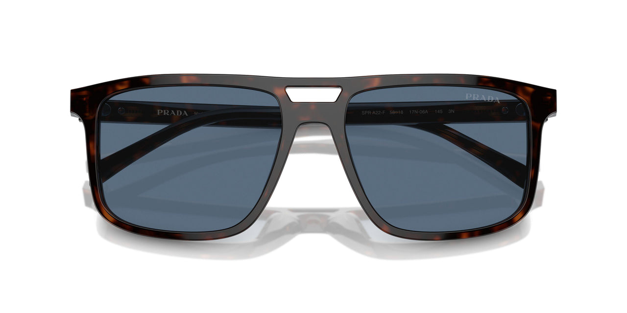 17N06A - Tortoise - Dark Blue