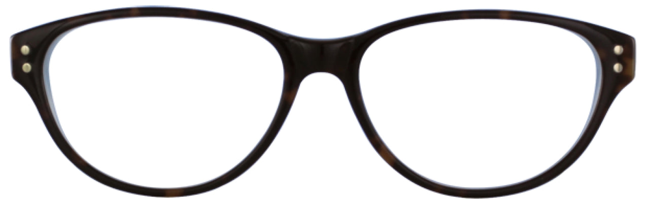 550 - Tort/lt. Blue