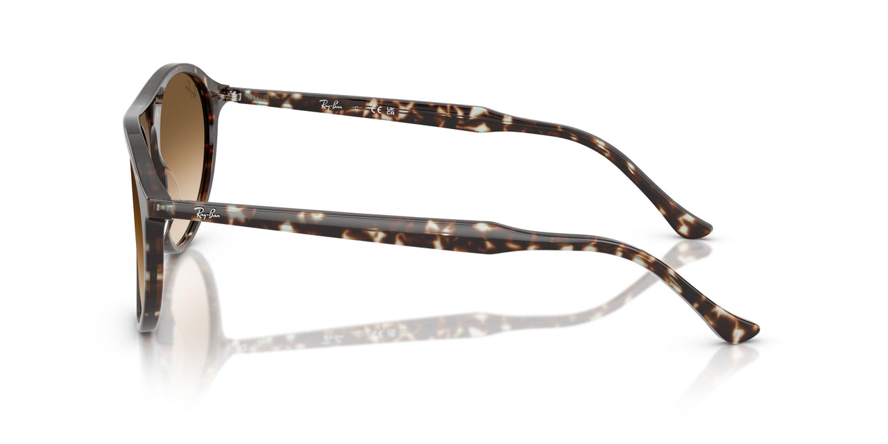 143151 - Yellow - Clear Gradient Brown