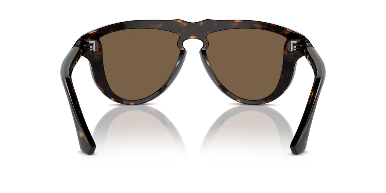 300273 - Brown - Brown