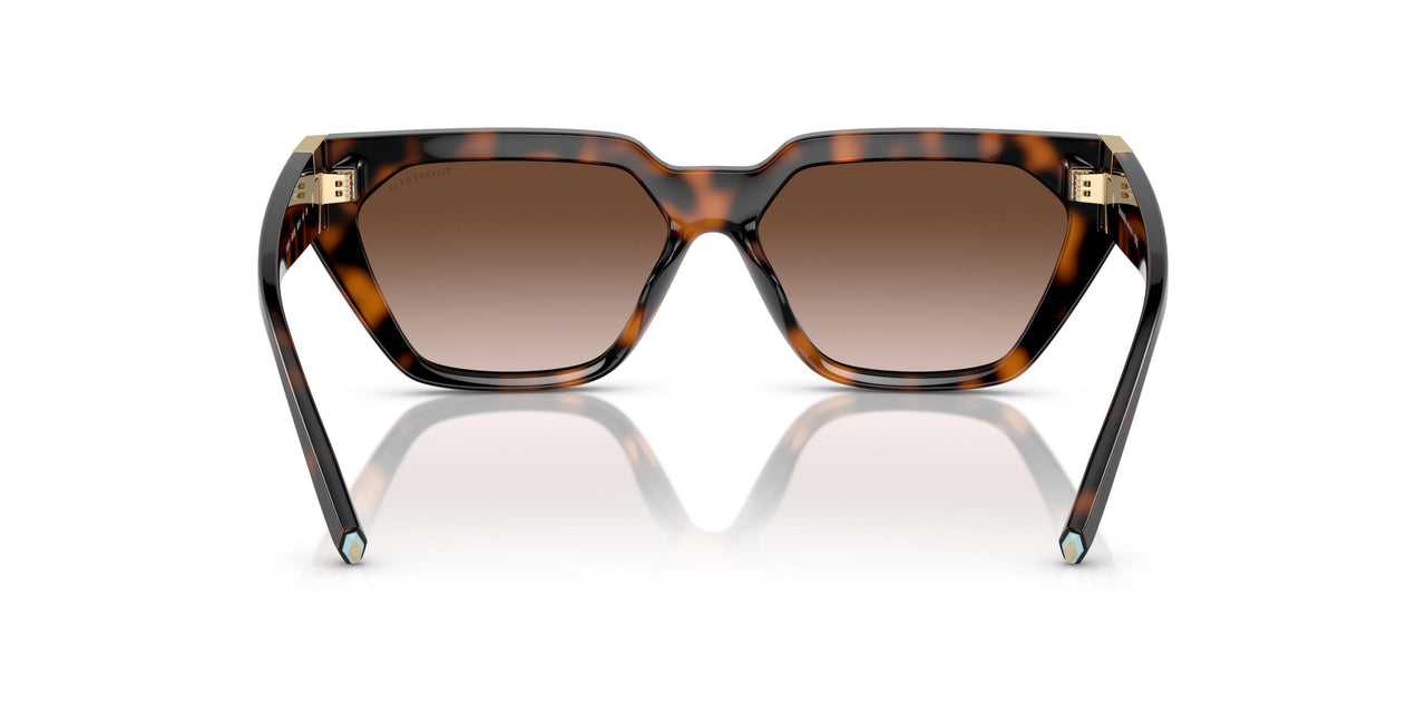 80153B - Tortoise - Brown Gradient