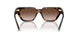 80153B - Tortoise - Brown Gradient