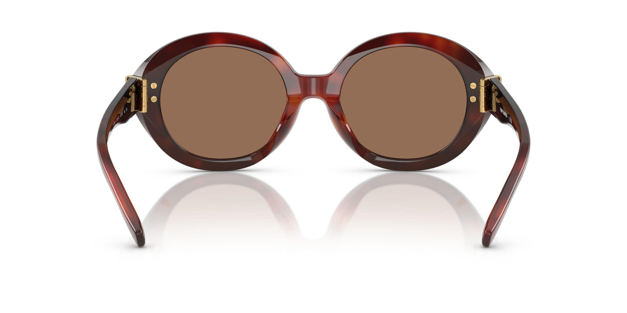 201173 - Tortoise - Dark Brown