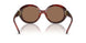 201173 - Tortoise - Dark Brown