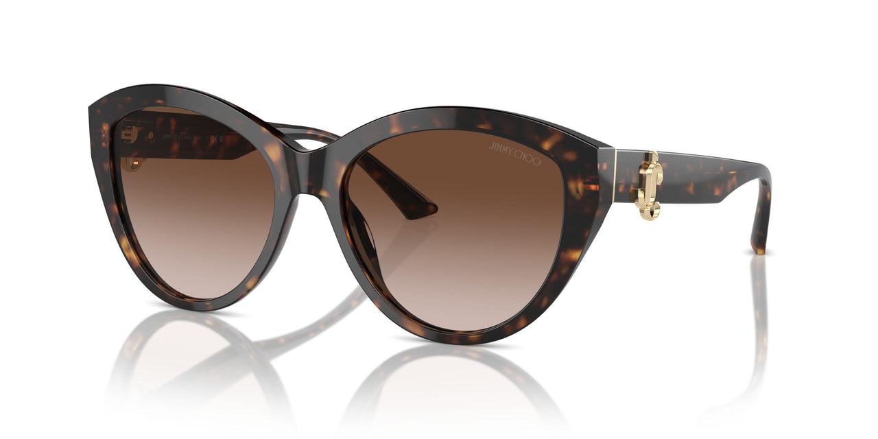 500213 - Tortoise - Gradient Brown