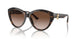 500213 - Tortoise - Gradient Brown