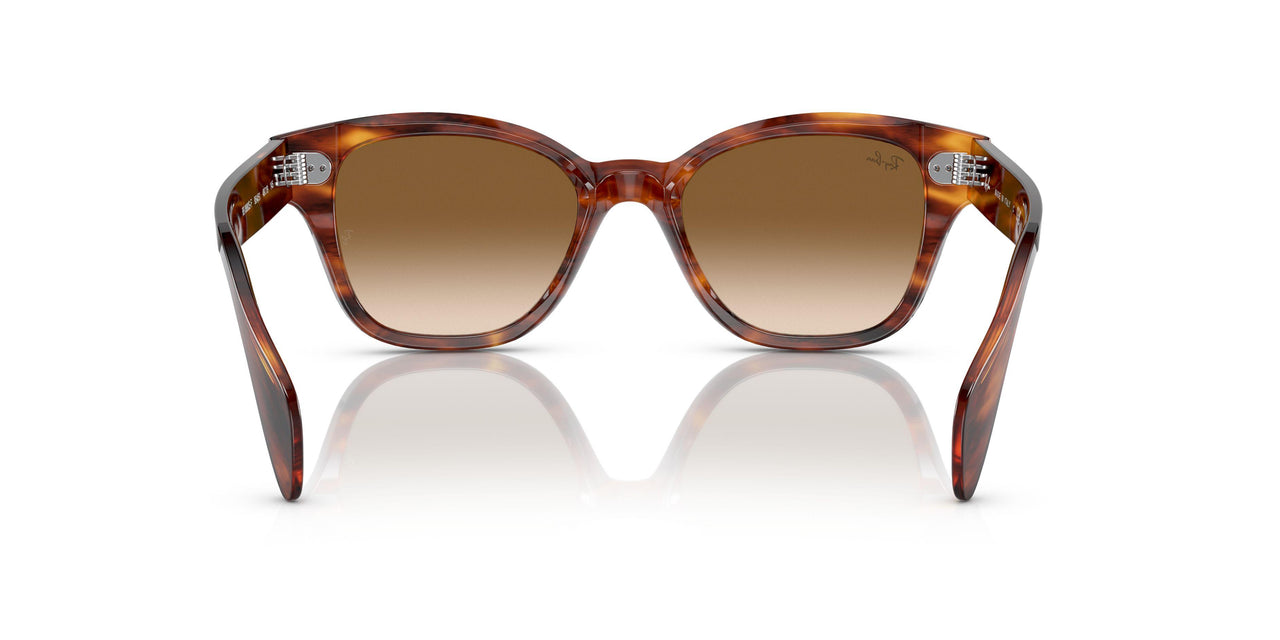 954/51 - Havana - Clear Gradient Brown