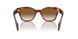 954/51 - Havana - Clear Gradient Brown