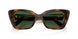 100271 - Tortoise - Dark Green