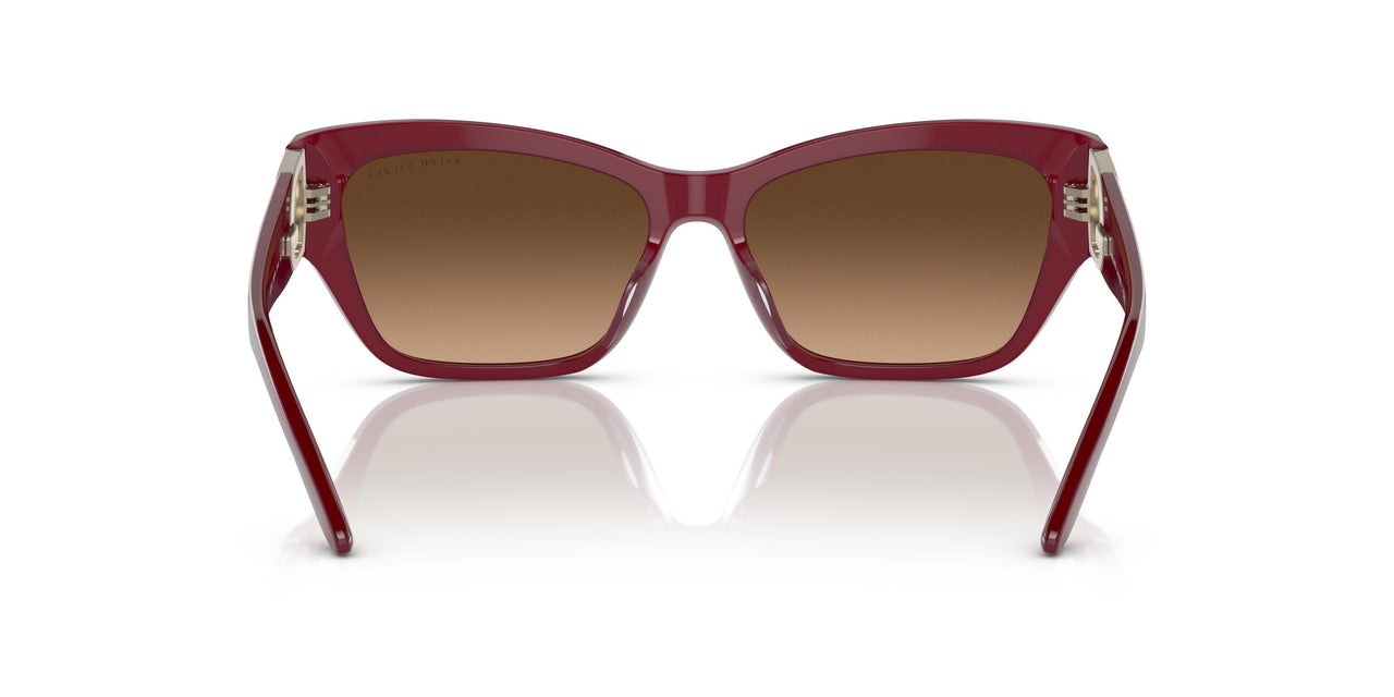 591274 - Bordeaux - Brown Gradient