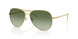33438E - Yellow - Green Gradient