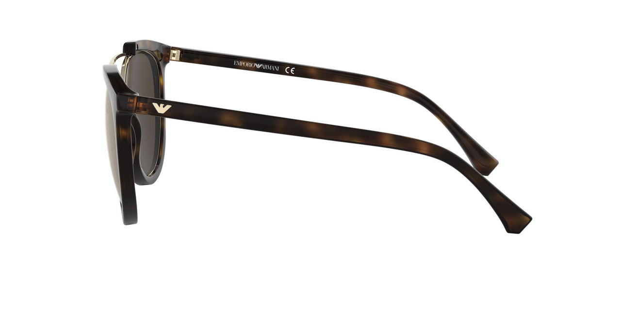 50265A - Havana - Light Brown Mirror Dark Gold