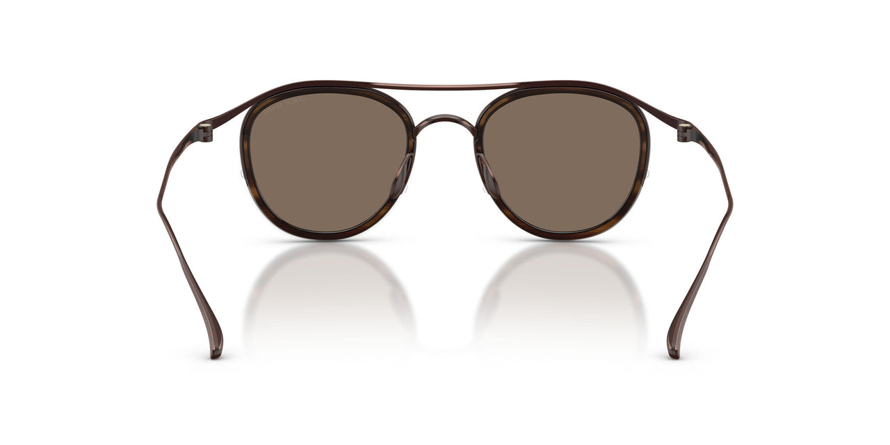 343073 - Brown - Brown