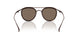343073 - Brown - Brown