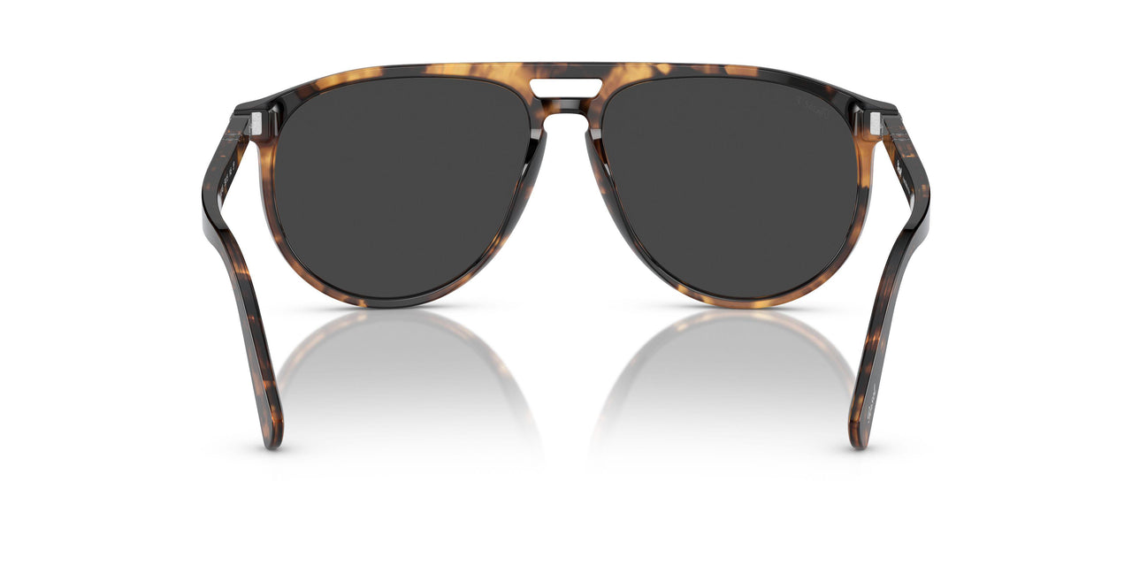 110248 - Tortoise - Polar Black
