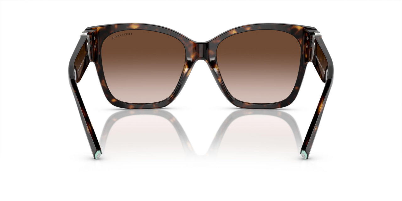 80153B - Tortoise - Brown Gradient
