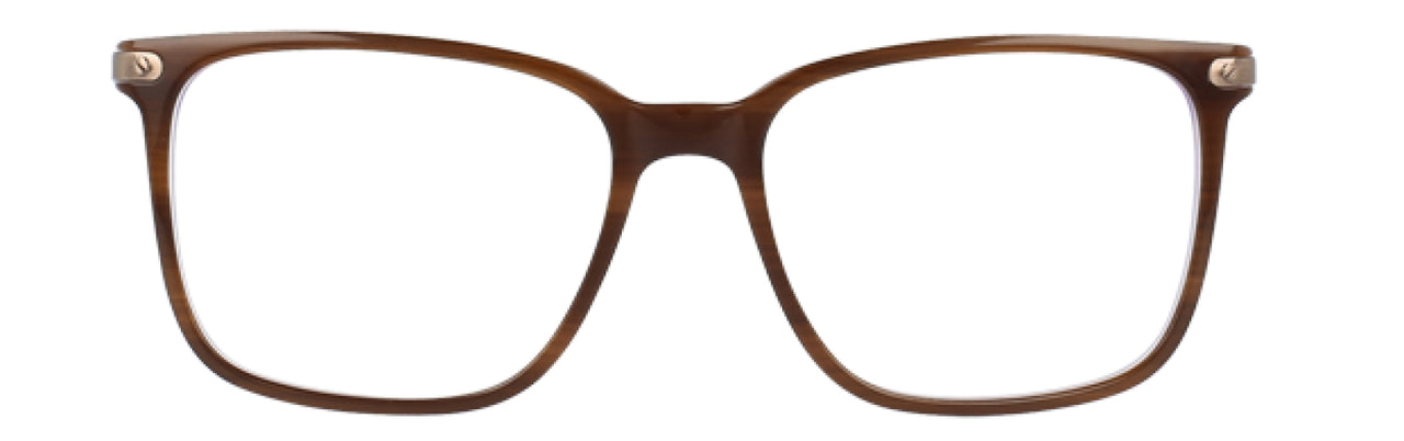 Brown - Brown