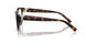 8015 - Tortoise