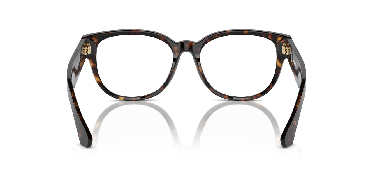 3002 - Brown
