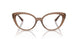 5427 - Brown