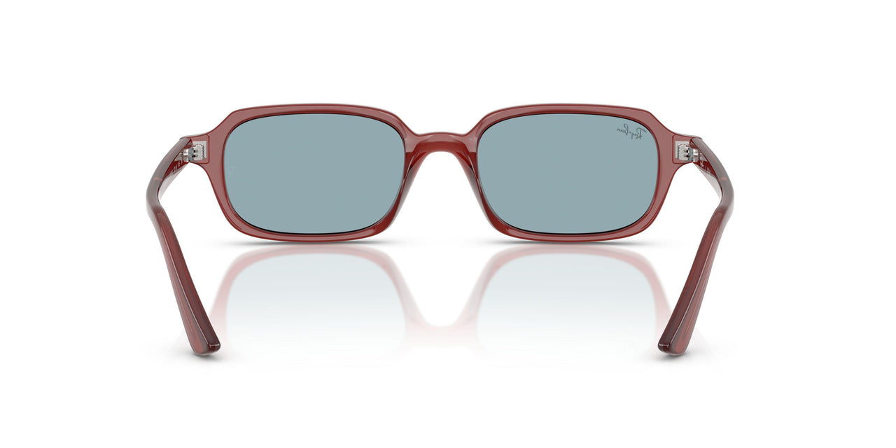 680980 - Brown - Blue
