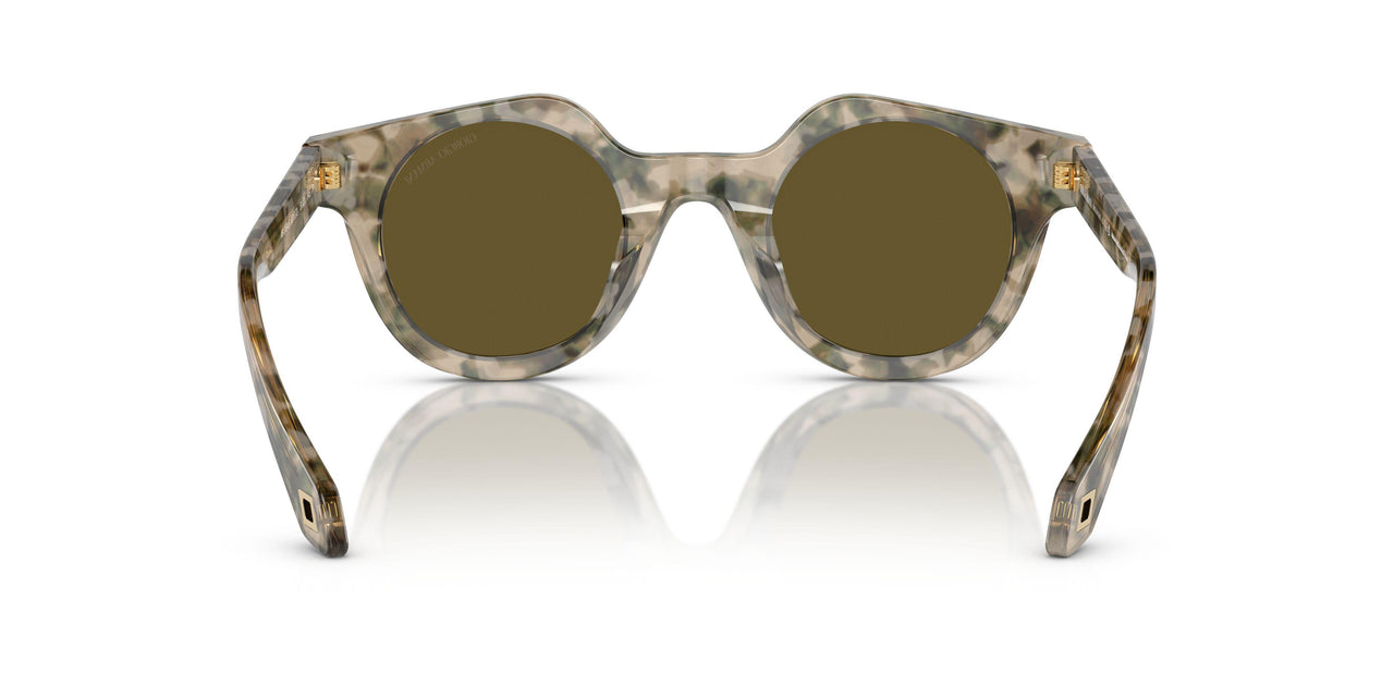 601773 - Beige - Dark Brown
